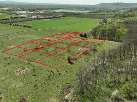 RECO , teren intravilan, Ineu,Bihor
