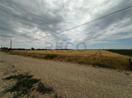 RECO Teren Extravilan(4500 MP) &icirc;n Oradea