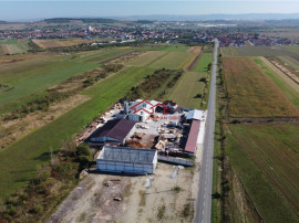 Oportunitate investi#539;ie prelucrare lemn, Cristian,jud.Si