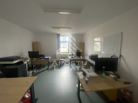 Casa &icirc;n Dumbrăvița cu teren de 3039 mp și Front Strad...