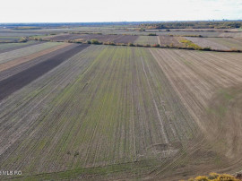 Bucovat - Lot Intravilan 2.27 Ha, PUZ inceput, Rezidentia...