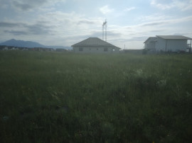 Teren Izvor-Tărlungeni