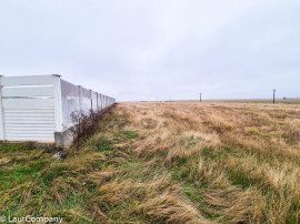 Teren intravilan Bradu Arges