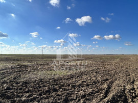 Teren 98.503 mp, intravilan, ideal parc fotovoltaic, Peci...