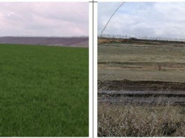 Teren extravilan Tiganasi, cota parte 1/5, ID: R2822453