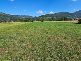 Teren intravilan Pangarati, 4400 mp