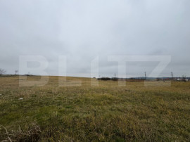 Teren intravilan in Pricaz 4416 mp