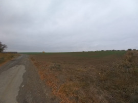 Teren de vanzare in Valu Lui Traian, Cartierul Nou - 403 mp