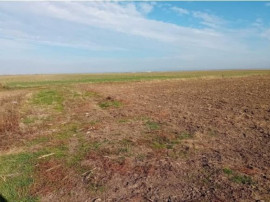 Cota de 3/8 din teren extravilan, Sacosu Turcesc, Jud Timis