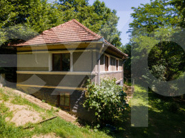 Proprietate cu potențial turistic, &icirc;n zona Negreni &ndash; Buc