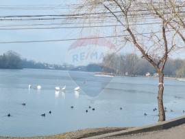 Teren 625mp Mogosoaia / Strada Livezilor