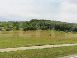 De Vanzare: Teren intravilan excepțional &icirc;n Codlea - prive