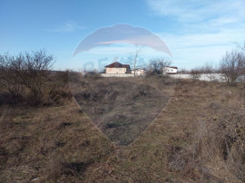 Teren intravilan de v&acirc;nzare | 919 mp | Bragadiru, Safiru...