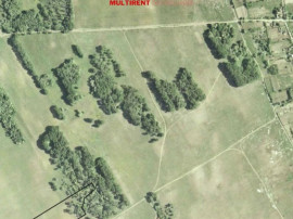 Teren intraviloan situat in Dunavatu de jos - langa padure si islaz!