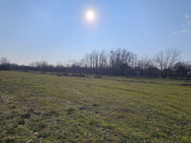 Baicoi -Tufeni, intravilan 6076 mp,2 deschideri - 55000 euro