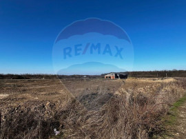 Teren 525mp Sanmartin / Aleea Principala