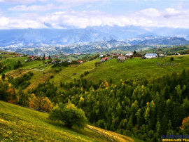 7.000 mp, pozitie spectaculoasa, fara vecini, Fundatica, Bra