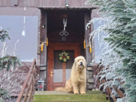 Casa individuala si teren zona Sibiel