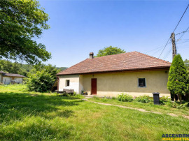 FILM Tur 3D! Casa cu gradina, pomi fructiferi, fantana, Zago