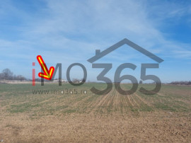 Teren intravilan Parvu Rosu 990 mp