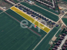 Teren 10.000mp parcelat Balotesti