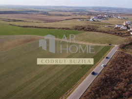 Teren intravilan 2500mp, Bucov