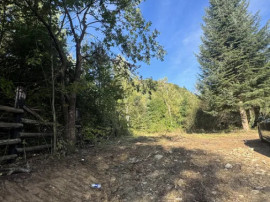 Teren , platou drept, 6000mp , Sucevita