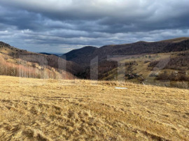 Teren Construibil - Muntele Baisorii , 5000mp - cu posibilit