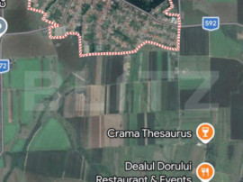 Teren intravilan, front 60 ml, 23.000 mp, Buziaș