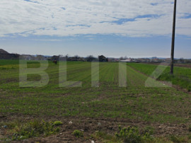 Teren intravilan 1000 mp, in Mihai Viteazu