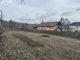 Teren intravilan 1 304 mp - Calinesti- Gorganu-Arges!