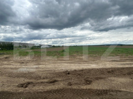 TEREN | 8000 MP | INTRAVILAN | DN 71 |