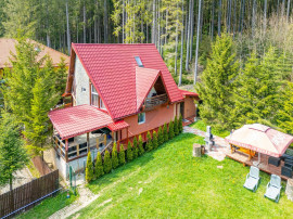 Vila cocheta &icirc;n Azuga, l&acirc;ngă pădure, cu priveliște s...