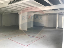 Hală de &icirc;nchiriat 500 mp Calea Bodrogului Arad