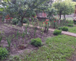 Casa La Tara Badeni Iasi 40 000 Eur Homezz Ro