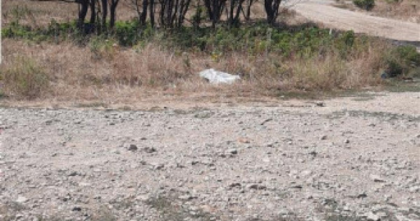 Teren 230 mp , comuna Berceni Bistritei