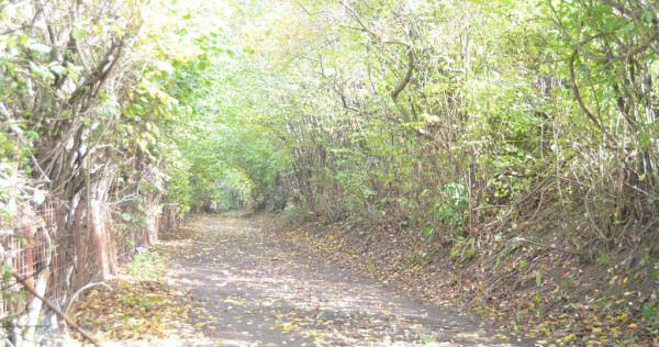 Teren intravilan situat in judetul Brasov,Schei