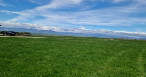 Teren extravilan 25.254 mp în zona Preajba
