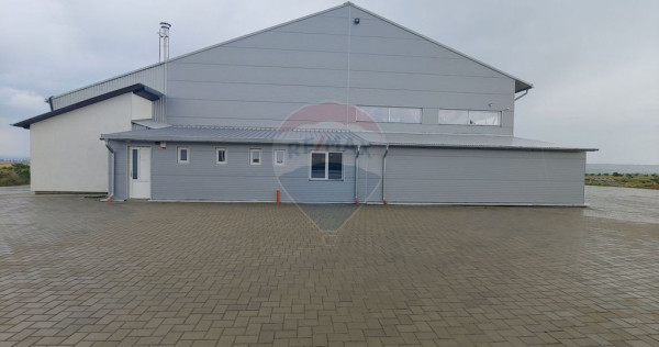 Spațiu industrial-depozit de 1120mp de &icirc;nchiriat &icirc;n Du...