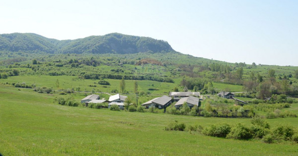 Spre vanzare FERMĂ cu 20 ha de teren judetul Maramureș