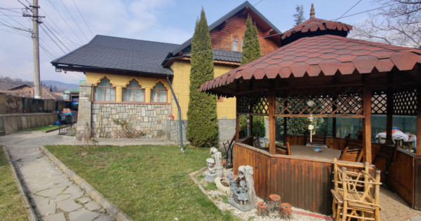 Casa/ case de vanzare in Valea Doftanei- Oportunitate afacer