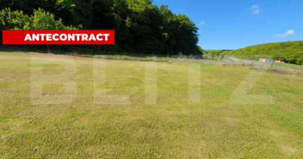 Teren intravilan Popesti 867 mp, langa padure