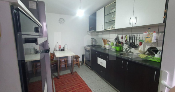 Casa individuala + 7,1 ha de teren dispersat, in Pinticu