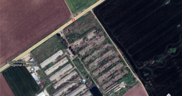 Teren intravilan constructii 4ha cu deschidere la drum europ