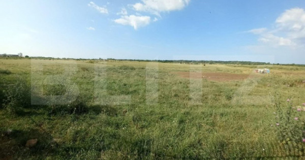Teren intravilan 5000 mp, Laminorului