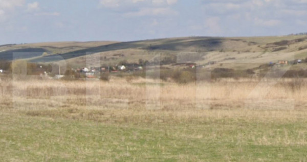 Investitie! Teren intravilan in supratafa de 4500 mp, coloni