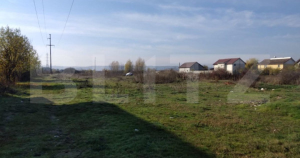 Teren intravilan 5950 mp in Catargiu cu 2 căi de acces