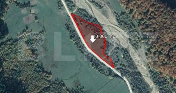 Teren 10.000 mp, Valea Zizinului