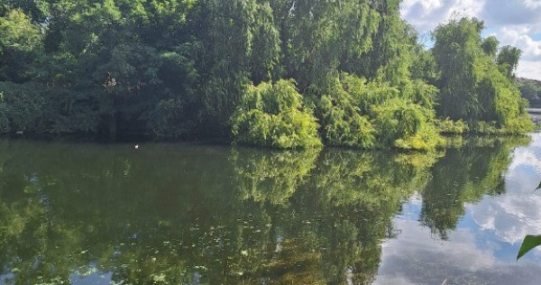 Piata Delfinului - Lacul Fundeni - Ostrov, vanzare teren 515mp.