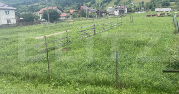 Teren intravilan 750 mp, &icirc;n Vama